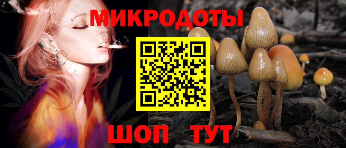 Соликамск  Галлюциногенные грибы MAGIC MUSHROOMS  Вход с VPN  Галлюциногенные грибы GOLDEN TEACHER 